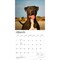 BrownTrout; American Pit Bull Terriers | 2027 12 x 24 Inch (Hanging) Monthly Square Wall Calendar | Plastic-Free; Category:Wall Calendars; Image:4